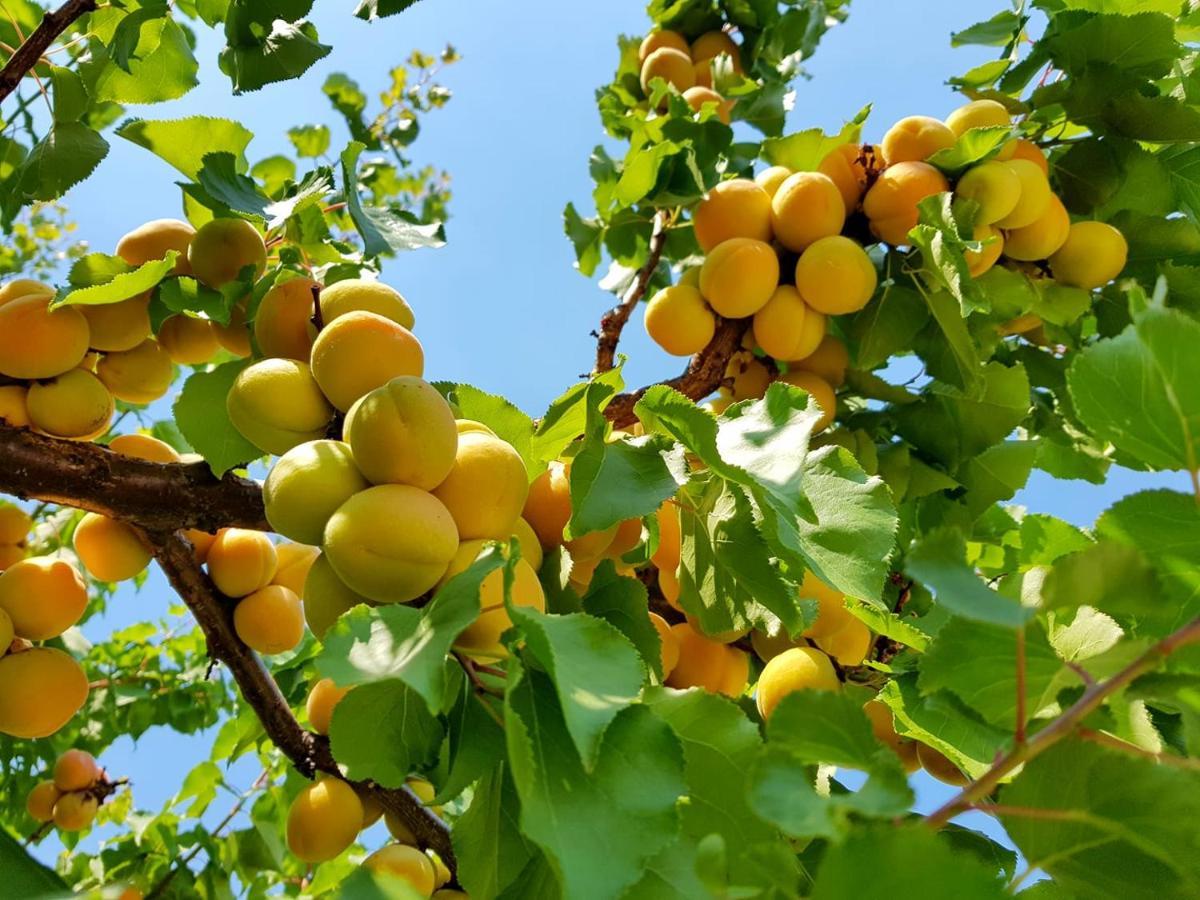 The Orchard At Oliver Ξενοδοχείο Εξωτερικό φωτογραφία